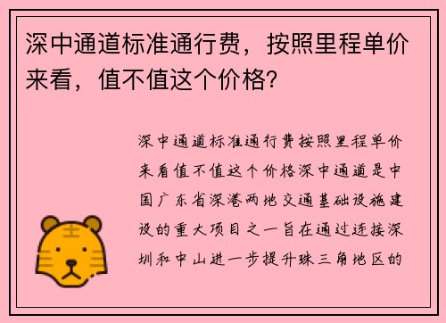 深中通道标准通行费，按照里程单价来看，值不值这个价格？