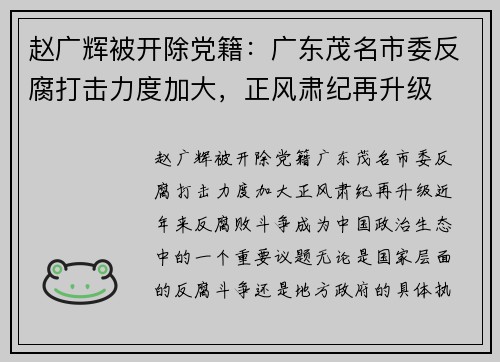 赵广辉被开除党籍：广东茂名市委反腐打击力度加大，正风肃纪再升级