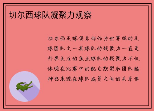 切尔西球队凝聚力观察